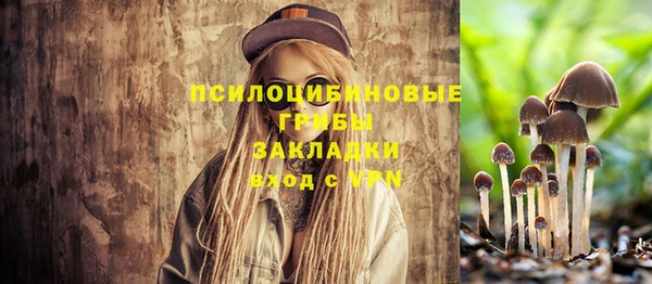 тгк Баксан