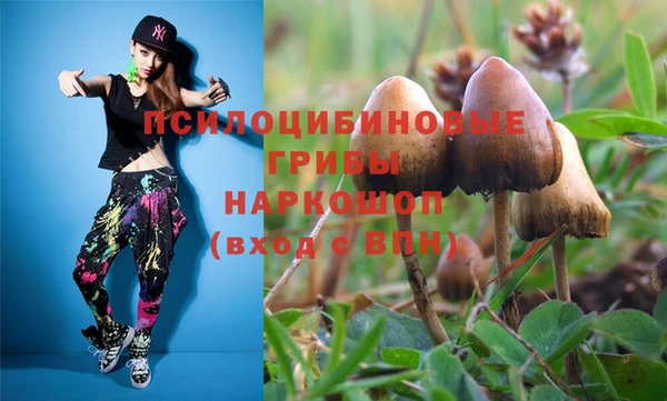 тгк Баксан